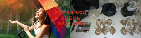 дживик Зеленокумск