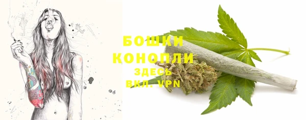 дживик Зеленокумск