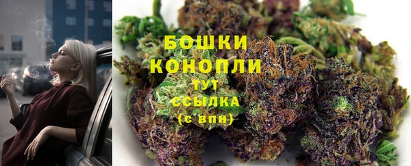 эйфоретик Зерноград