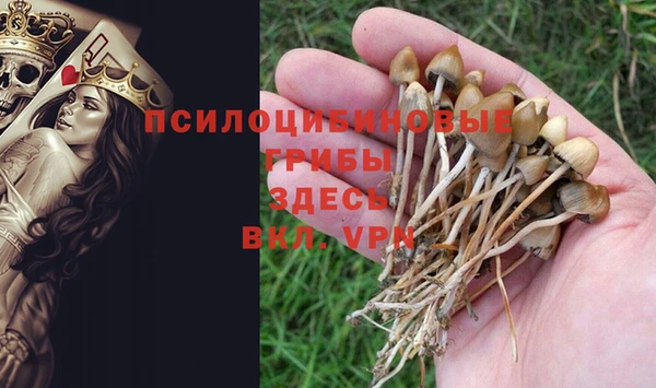 эйфоретик Зерноград