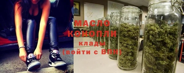 индика Новочеркасск